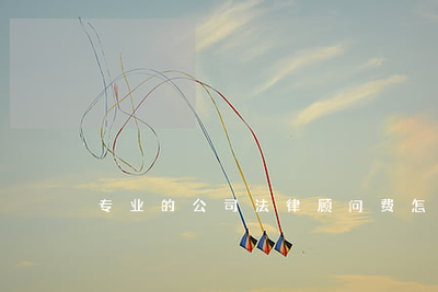 公司聘請專業法律顧問的費用計算與法律事務代理指南